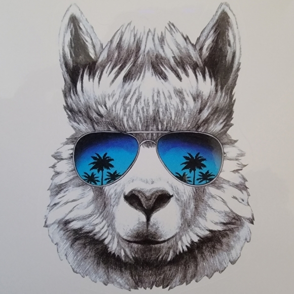 dolla_llama